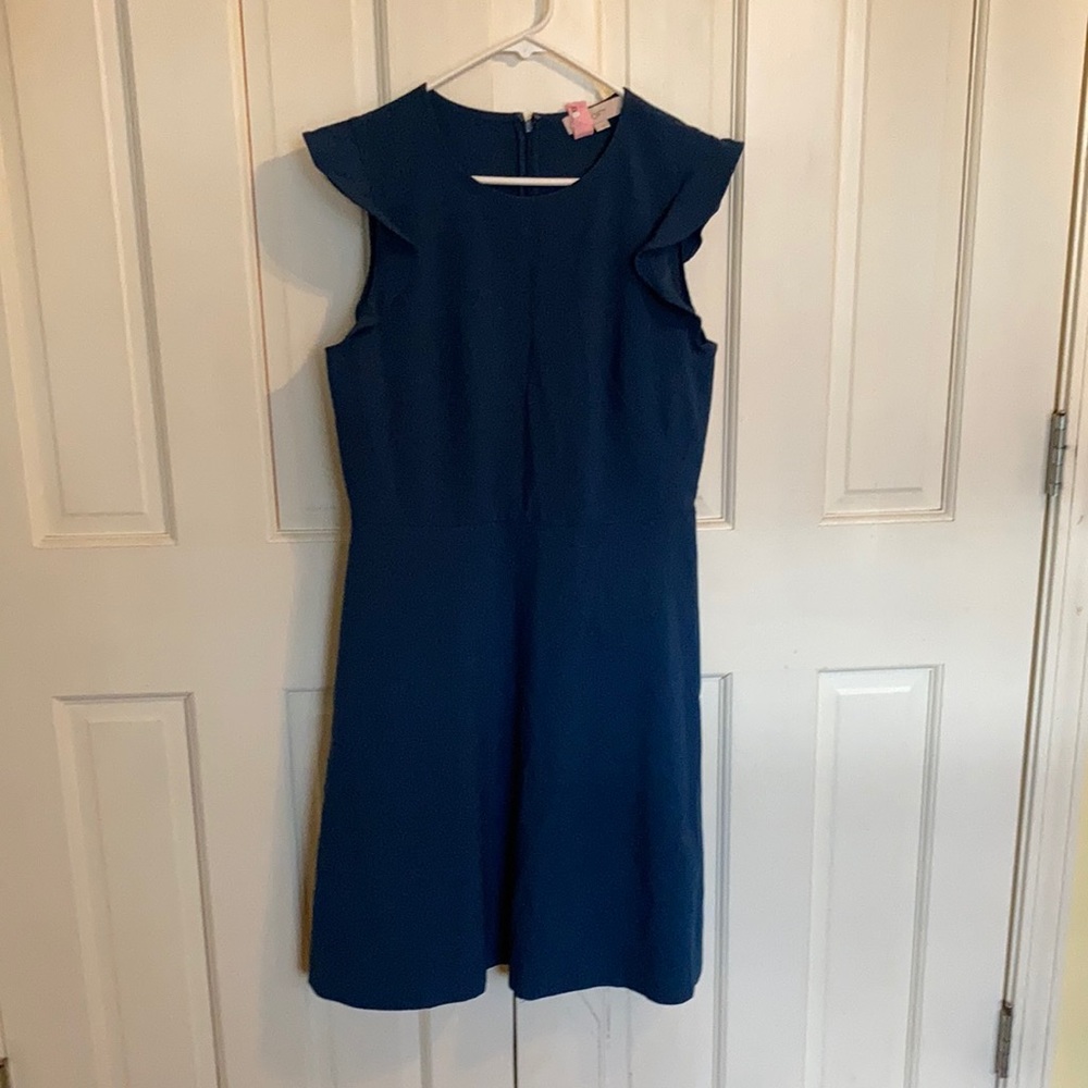 LOFT Ruffle Sleeve Dress